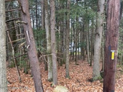Lot 020 Edge Rock Drive, Drums, Pennsylvania 18222