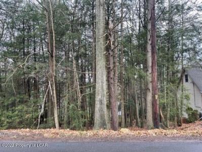 Lot 020 Edge Rock Drive, Drums, Pennsylvania 18222