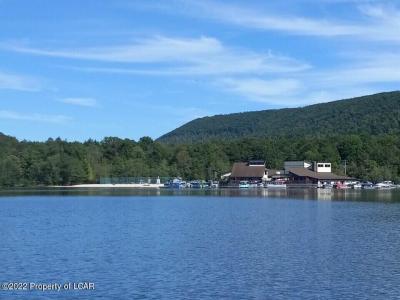 Lot 020 Edge Rock Drive, Drums, Pennsylvania 18222