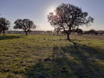 Alandroal, Évora 7200-014, Portugal