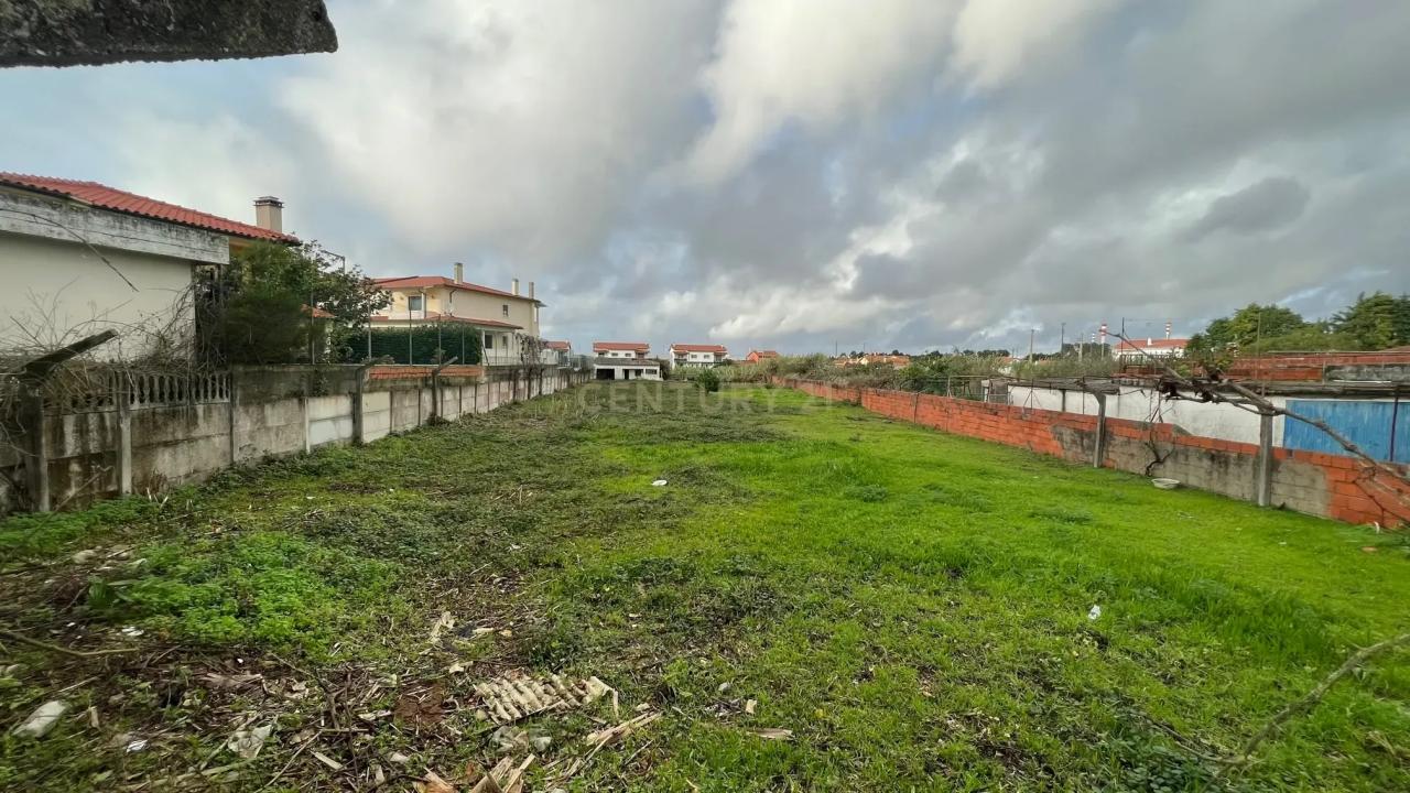 Marinha Grande, Leiria 2430-177, Portekiz