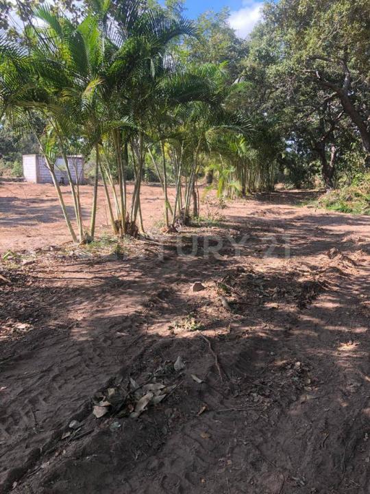 Pueblo Viejo, Veracruz 92030, Mexique