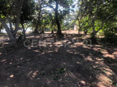 Pueblo Viejo, Veracruz 92030, Mexique
