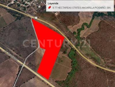 Rosario, Синалоа 82800, Мексика