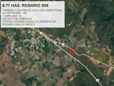 Rosario, Sinaloa 82800, Mexico