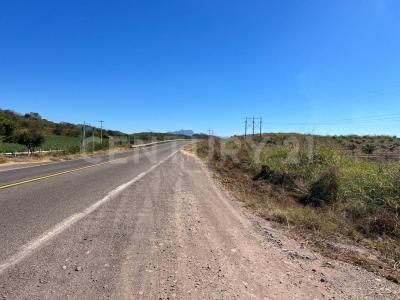 Rosario, Sinaloa 82800, Mexico