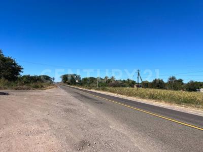 Rosario, Sinaloa 82800, Mexico