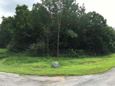 Lot 287 Parrish Ridge Lane, Goreville, Illinois 62939, Estados Unidos