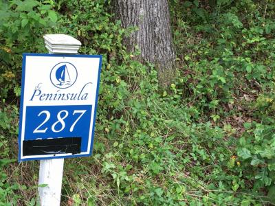 Lot 287 Parrish Ridge Lane, Goreville, Illinois 62939, Estados Unidos