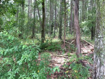 Lot 287 Parrish Ridge Lane, Goreville, Illinois 62939, Estados Unidos