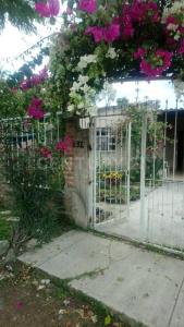 López Cotilla esquina con Constitución 34,, El Salto, 哈利斯科 45681, 墨西哥