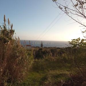 Santa Cruz Da Graciosa, Ilha Graciosa 9880, Portugal