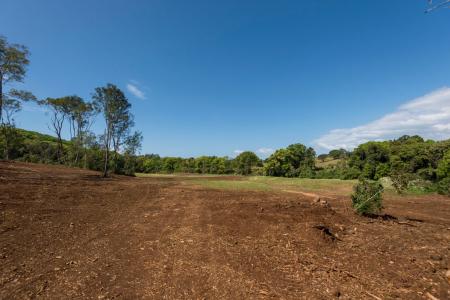 70 Pine Mountain Road, Possum Creek, NSW 2479, Australia