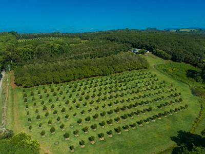 Dunoon, NSW 2480, Australia