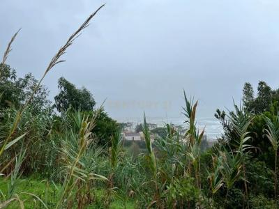 Figueira Da Foz, Coimbra 3080-008, Portugal