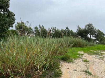 Figueira Da Foz, Coimbra 3080-008, Portugal