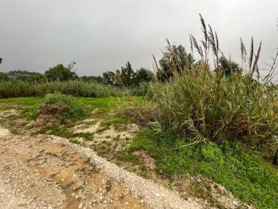 Figueira Da Foz, Coimbra 3080-008, Portugal