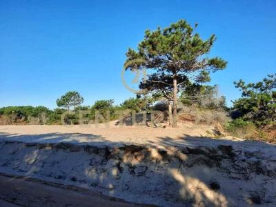 2 y 25 111, La Esmeralda, Rocha 00001, Uruguay