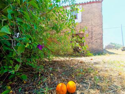 Abrantes, Santarem 2200-601, Portugal