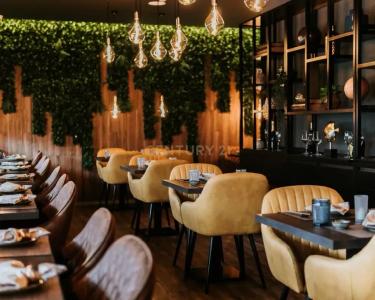 Coimbra, Coimbra 3000-005, Portugal