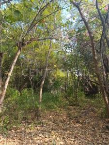 Cuernavaca, ولاية موريلوس 62020, المكسيك