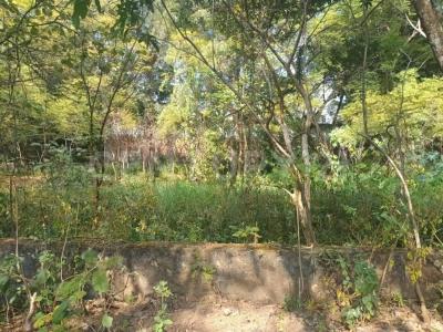 Cuernavaca, ولاية موريلوس 62020, المكسيك