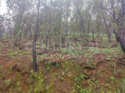 Poblado La Estancia Lote 18 de la Manzana 40 de la Zona,, Mazamitla, 할리 스코 49500, 멕시코