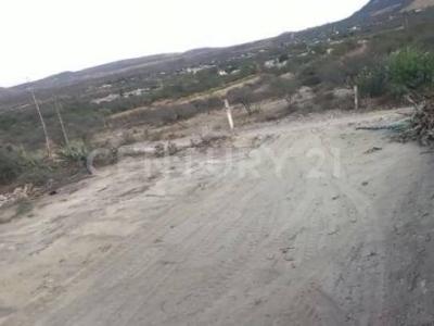 Rincon de San José ,, Mexquitic De Carmona, San Luis Potosi 78473, México