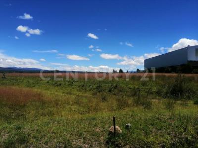 Apizaco, Tlaxcala 90402, México