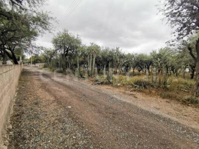 Villa Hidalgo, San Luis Potosi 78960, México