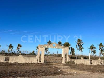 Rosario, Синалоа 82823, Мексика