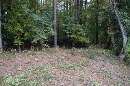 0 Chrislo Drive, Minden, Louisiana 71055