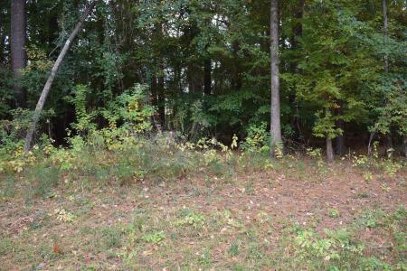 0 Chrislo Drive, Minden, Louisiana 71055