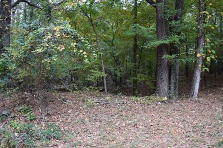0 Chrislo Drive, Minden, Louisiana 71055