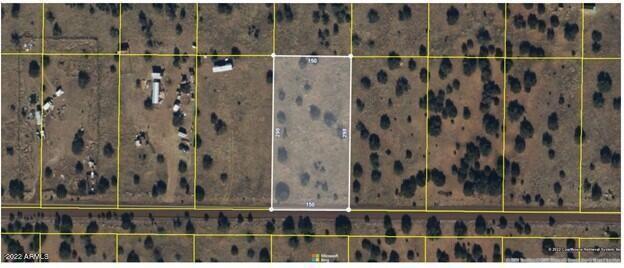 Parcel # 201-38-090, Concho, Arizona 85924, USA