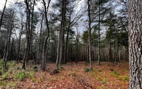 Lt157 L157 Highland Park, Blairsville, Georgia 30512, Estados Unidos