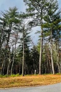 Lt157 L157 Highland Park, Blairsville, Georgia 30512, Estados Unidos