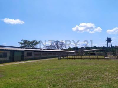 El rosario Sector soapire Santa Teresa, Santa Teresa del Tuy, Miranda 1215, Venezuela