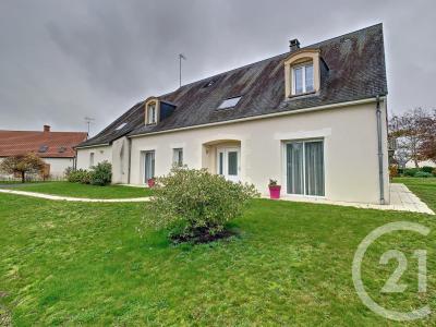 Romorantin Lanthenay, 中部 41200, 法國