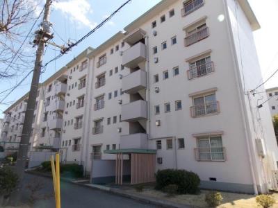 小金原7丁目1-9, 小金原団地7-1街区9棟, 松戸市, Chiba 270-0021, Japão