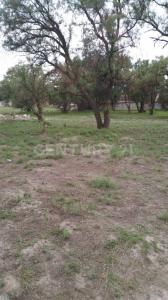 Nextlalpan, Stato Del Messico 55790, Messico
