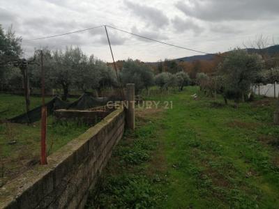 Fundão, Castelo Branco 6230-213, Portugal
