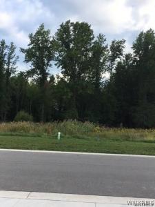 525 Riverwalk Drive, Lewiston, Nowy Jork 14092, USA