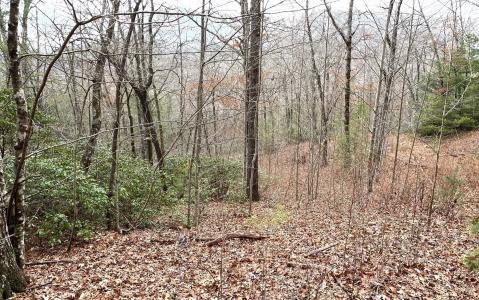 Lot 6 Tantrough Farms, Hiawassee, Georgia 30546, USA