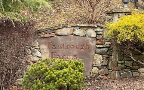 Lot 6 Tantrough Farms, Hiawassee, Georgia 30546, USA