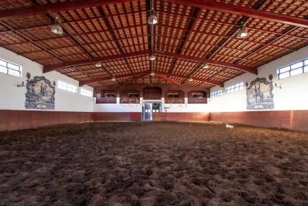 Setubal, Setubal 2925-001, Portugal