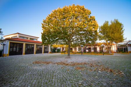 Setubal, Setubal 2925-001, Portugal