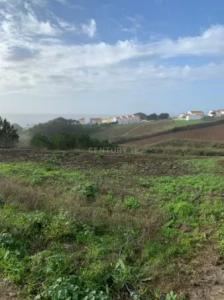 Lourinhã, Lisbonne 2530-022, Portugal