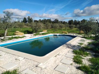 Castelo Branco, Castelo Branco 6005, Portugal