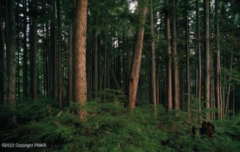 Lot 612 Wychewood Road, Albrightsville, 賓夕法尼亞州 18210, 美國